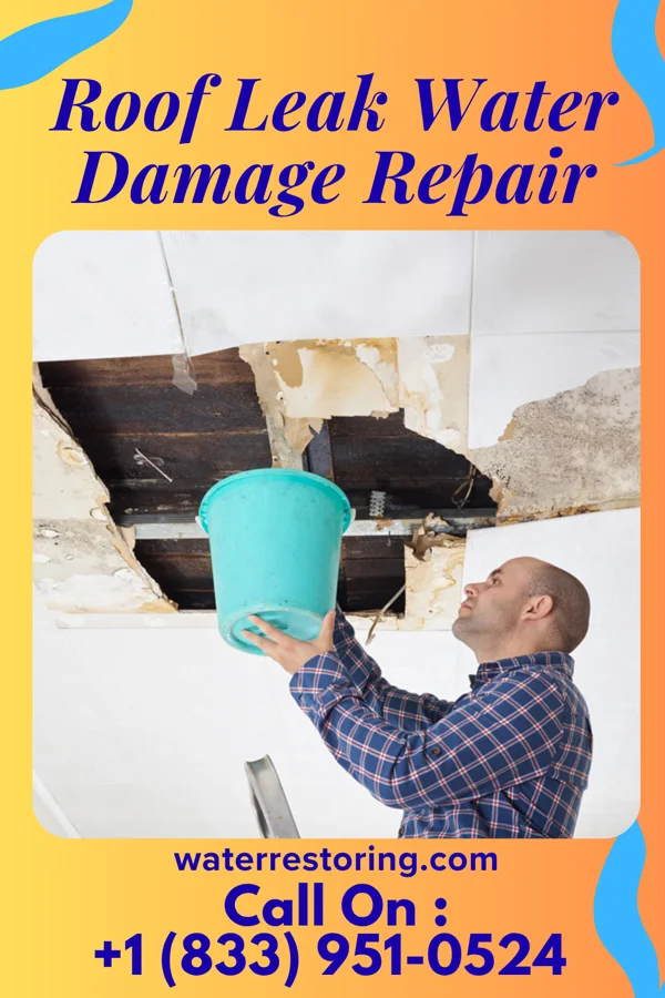 Roof Leak Water Damage Repair in Stanton, ND